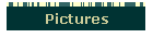 Pictures